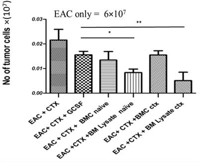 Beneficial Modulatory Effects of Treatment With Bone Marrow Lysate on Hematopoietic Stem Cells and Myeloid Cells in Tumor-Bearing Mice